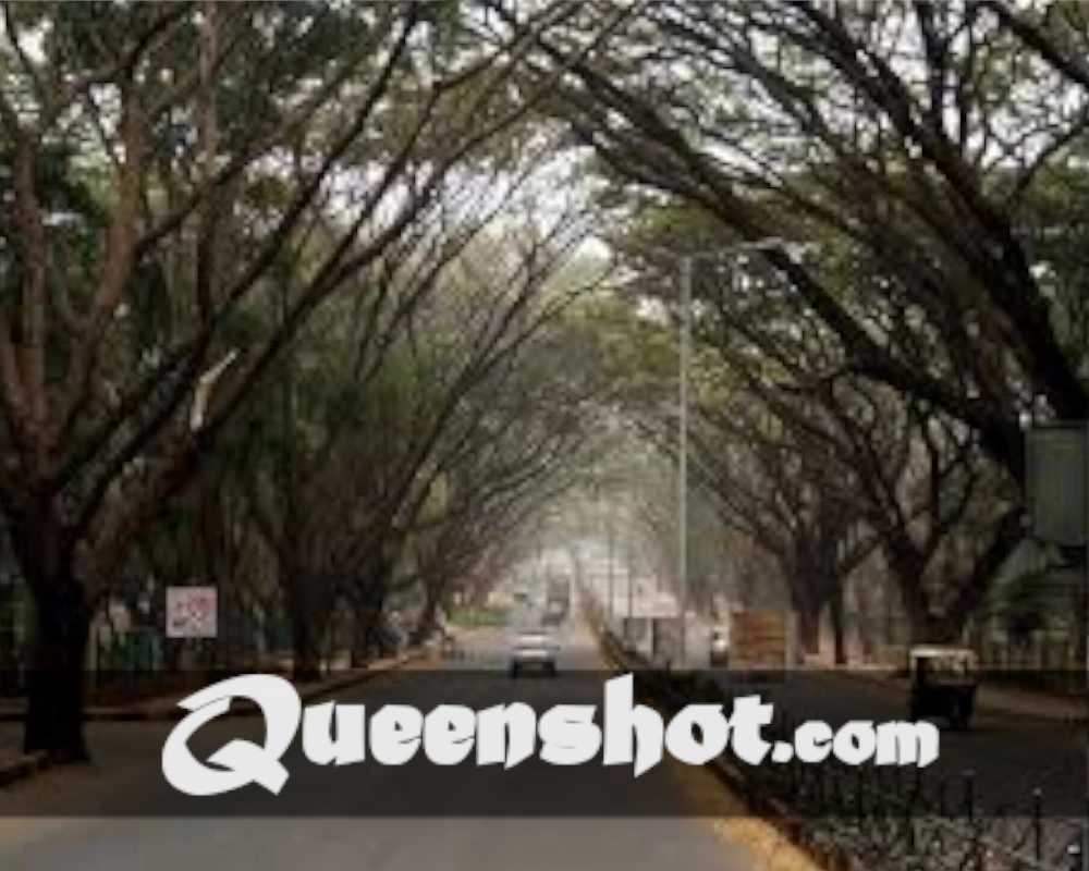 Jayanagar
